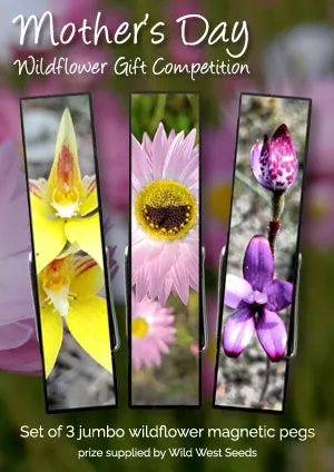 Mother's Day Wildflower Gift Competition