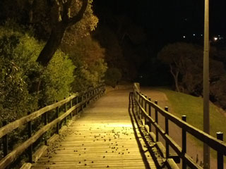 Boardwalk at Night