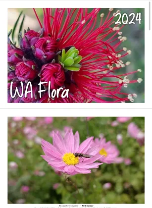 Wildflower Calendar 2024