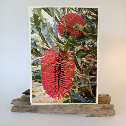 Banksia Prints