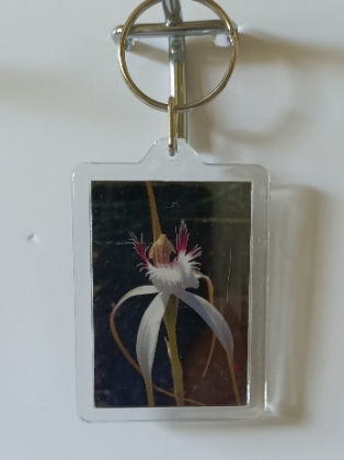 Orchid Key Rings